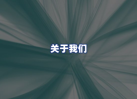 专业团队