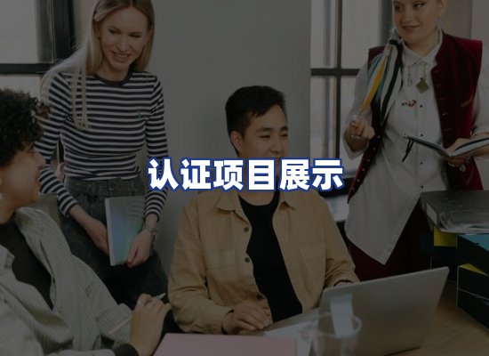 认证项目展示